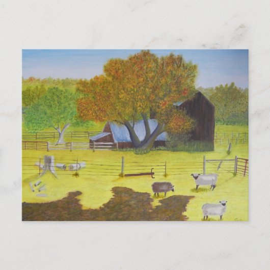 Waterford Barn & Sheep Briefkaart (Voorkant)