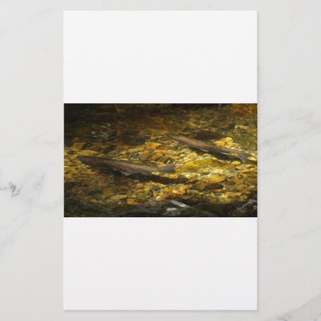 Waterforel. (Voorkant)