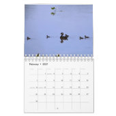 Waterfowl Calendar Kalender (Feb 2027)