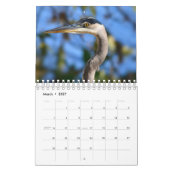 Waterfowl Calendar Kalender (Mar 2027)