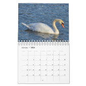 Waterfowl Calendar Kalender (Jan 2026)