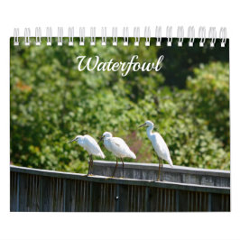 Waterfowl Calendar Kalender