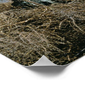 Waterfowl Hunt Poster (Hoek)