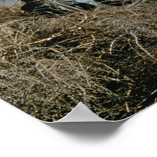 Waterfowl Hunt Poster (Hoek)