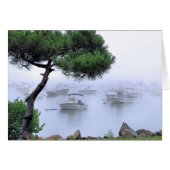 Waterfront Fog (Voorkant Horizontaal)