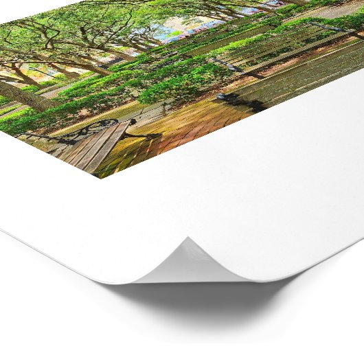 Waterfront Park in Charleston, SC poster (Hoek)