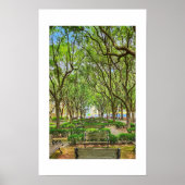 Waterfront Park in Charleston, SC poster (Voorkant)