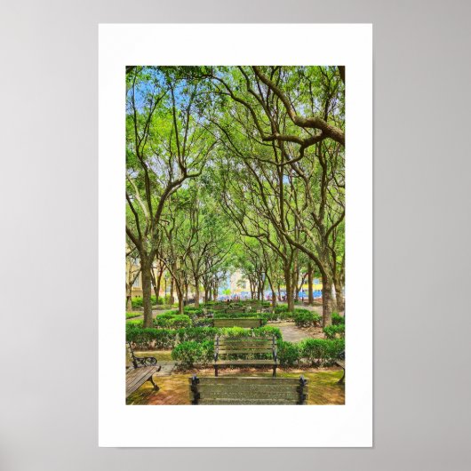 Waterfront Park in Charleston, SC poster (Voorkant)