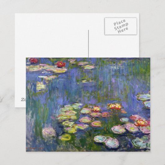 Watergalgen 10 briefkaart (Voorkant / Achterkant)