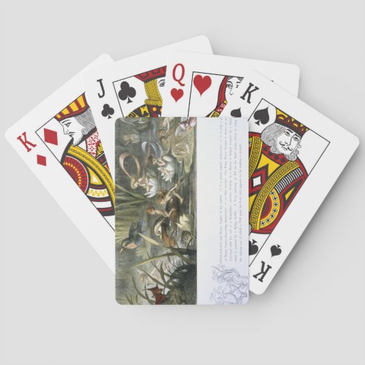 Watergalgen en waterfairies, geïllustreerd uit pokerkaarten (Achterkant)