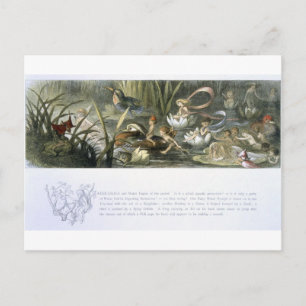 Watergalgen en waterfairies, illustratie van briefkaart