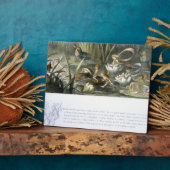 Watergalgen en waterfairies, illustratie van fotoplaat (Zijkant)