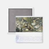 Watergalgen en waterfairies, illustratie van magneet (Voorkant / Achterkant)