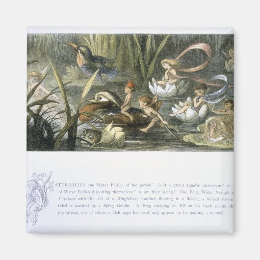 Watergalgen en waterfairies, illustratie van magneet (Voorkant)