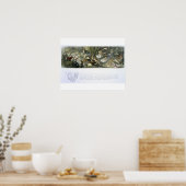 Watergalgen en waterfairies, illustratie van poster (Keuken)