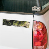 Watergat bij Goldie Struik Walk Bumpersticker (Op Truck)