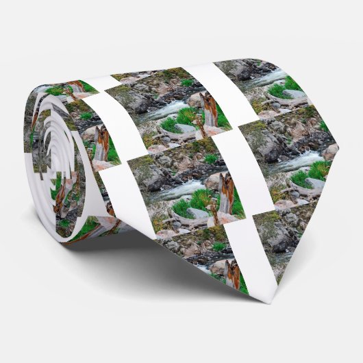 Watergebergte Stropdas (Opgerold)