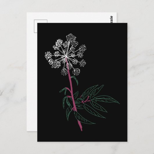 Waterhemel Briefkaart (Voorkant / Achterkant)