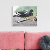 Waterhoen Canvas Print (Insitu (Woonkamer))