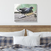 Waterhoen Canvas Print (Insitu (Slaapkamer))