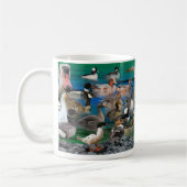 Waterhoenders in Noord-Amerika Koffiemok (Links)