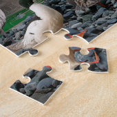 Waterhoenders in Noord-Amerika Legpuzzel (Zijkant)