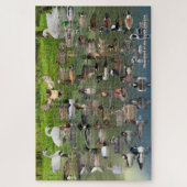 Waterhoenders in Noord-Amerika Legpuzzel (Verticaal)