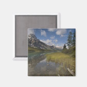 Waterhoenders langs de Icefields parkway, Magneet (Voorkant / Achterkant)