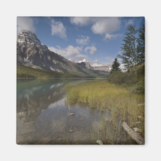 Waterhoenders langs de Icefields parkway, Magneet (Voorkant)