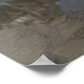 Waterhoenders langs de Icefields parkway, Poster (Hoek)
