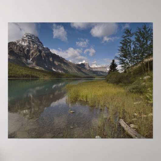 Waterhoenders langs de Icefields parkway, Poster (Voorkant)
