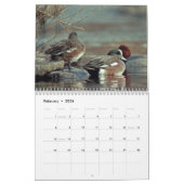 Waterhoenders van de Atlantische Flyway Kalender (Feb 2026)