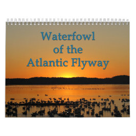 Waterhoenders van de Atlantische Flyway Kalender