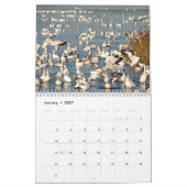 Waterhoenders van de Atlantische Flyway Kalender (Jan 2027)