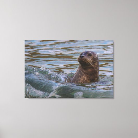waterhond canvas afdruk (Voorkant)