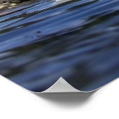 Waterhond - fijne Prints (Hoek)