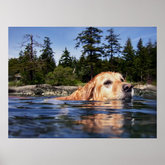 Waterhond - fijne Prints (Voorkant)