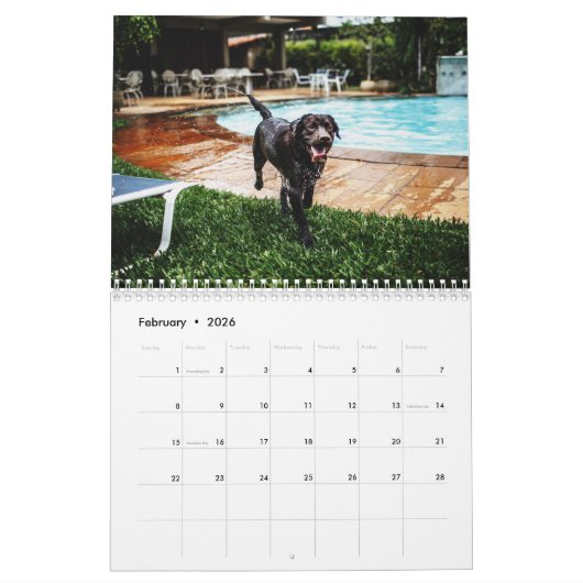 Waterhonden Kalender (Feb 2026)