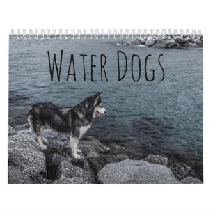 Waterhonden Kalender