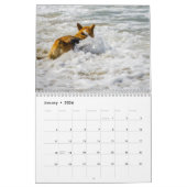 Waterhonden Kalender (Jan 2026)
