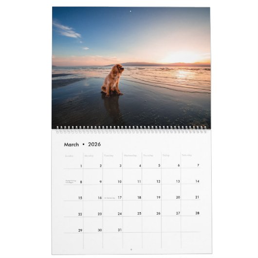 Waterhonden Kalender (Mar 2026)