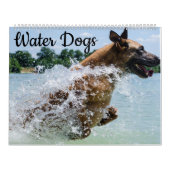 Waterhonden Kalender (Hoes)