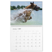 Waterhonden Kalender (Jan 2027)