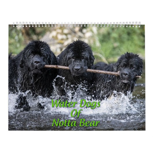 Waterhonden Van Notta Bear Kalender (Hoes)
