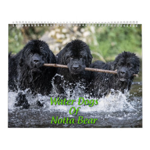Waterhonden van Notta Beer Kalender