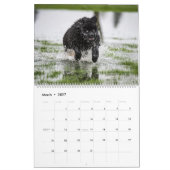 Waterhonden van Notta Beer Kalender (Mar 2027)