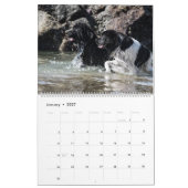 Waterhonden van Notta Beer Kalender (Jan 2027)