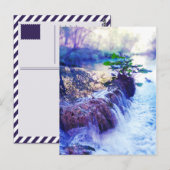 waterhoos briefkaart (Voorkant / Achterkant)