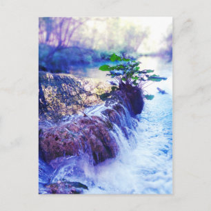 waterhoos briefkaart