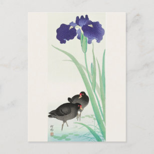 Waterhoots en Iris Painting door Ohara Koson Briefkaart